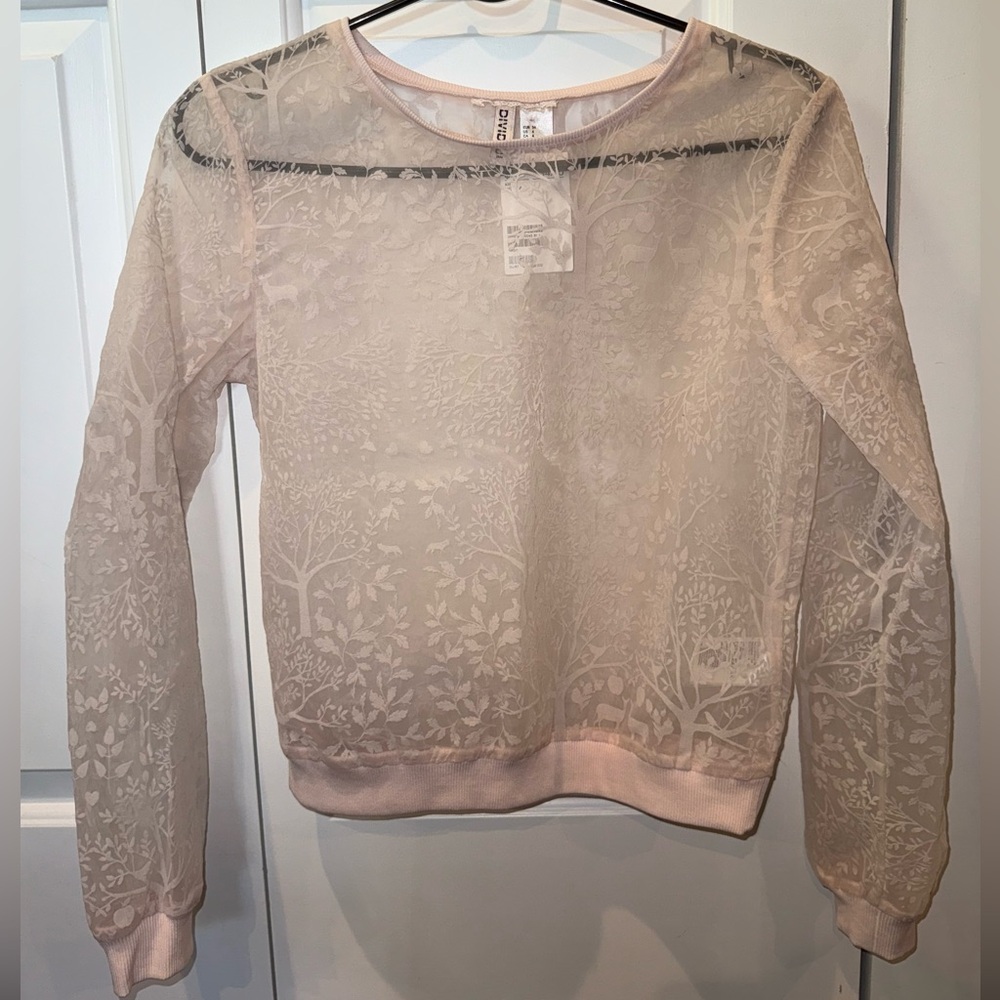 H&M Sheer blouse